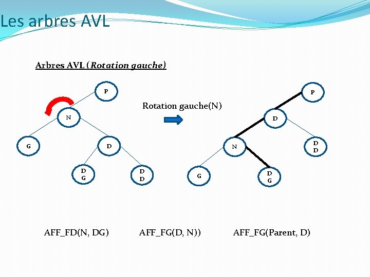 Les arbres AVL Arbres AVL (Rotation gauche) P P Rotation gauche(N) N D G Les arbres AVL Arbres AVL (Rotation gauche) P P Rotation gauche(N) N D G