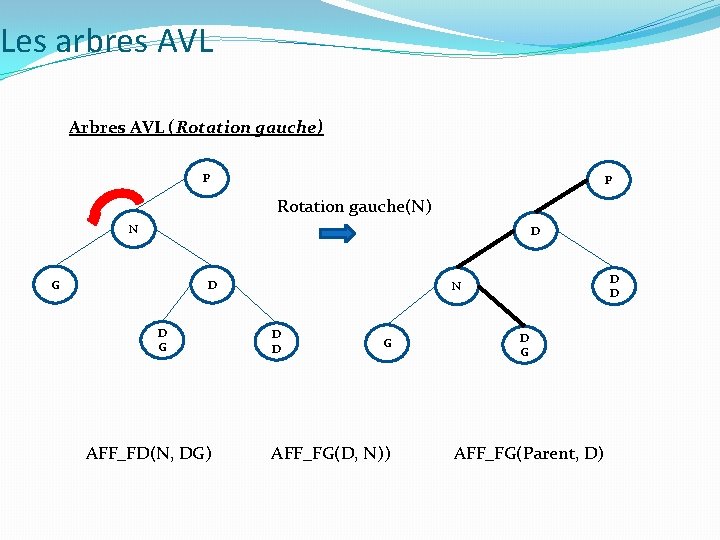 Les arbres AVL Arbres AVL (Rotation gauche) P P Rotation gauche(N) N D G