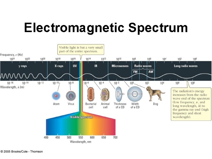 Electromagnetic Spectrum 