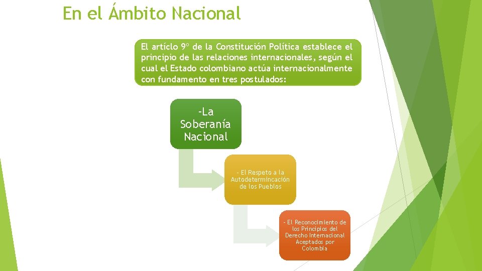 En el Ámbito Nacional El artíclo 9º de la Constitución Política establece el principio