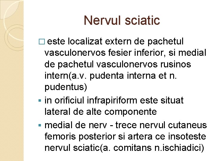 Nervul sciatic � este localizat extern de pachetul vasculonervos fesier inferior, si medial de Nervul sciatic � este localizat extern de pachetul vasculonervos fesier inferior, si medial de