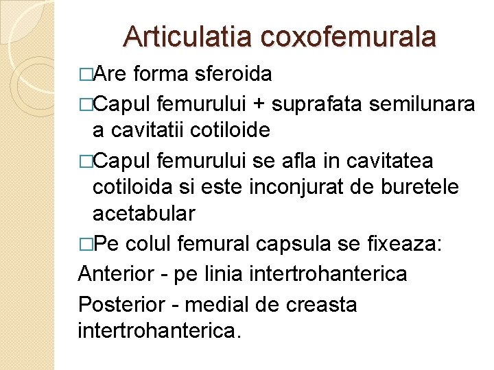 Articulatia coxofemurala �Are forma sferoida �Capul femurului + suprafata semilunara a cavitatii cotiloide �Capul Articulatia coxofemurala �Are forma sferoida �Capul femurului + suprafata semilunara a cavitatii cotiloide �Capul