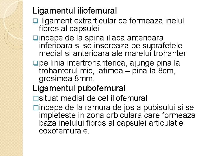 Ligamentul iliofemural q ligament extrarticular ce formeaza inelul fibros al capsulei q incepe de