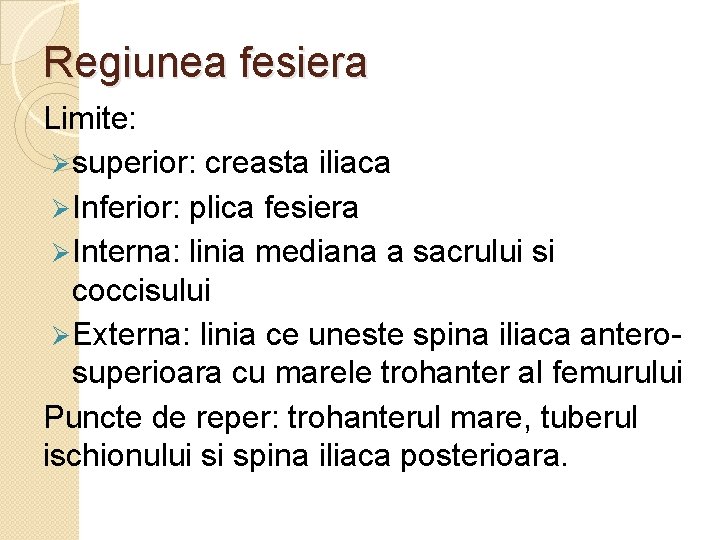 Regiunea fesiera Limite: Ø superior: creasta iliaca Ø Inferior: plica fesiera Ø Interna: linia Regiunea fesiera Limite: Ø superior: creasta iliaca Ø Inferior: plica fesiera Ø Interna: linia