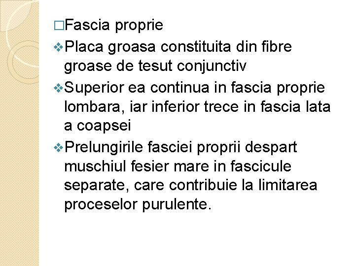 �Fascia proprie v. Placa groasa constituita din fibre groase de tesut conjunctiv v. Superior