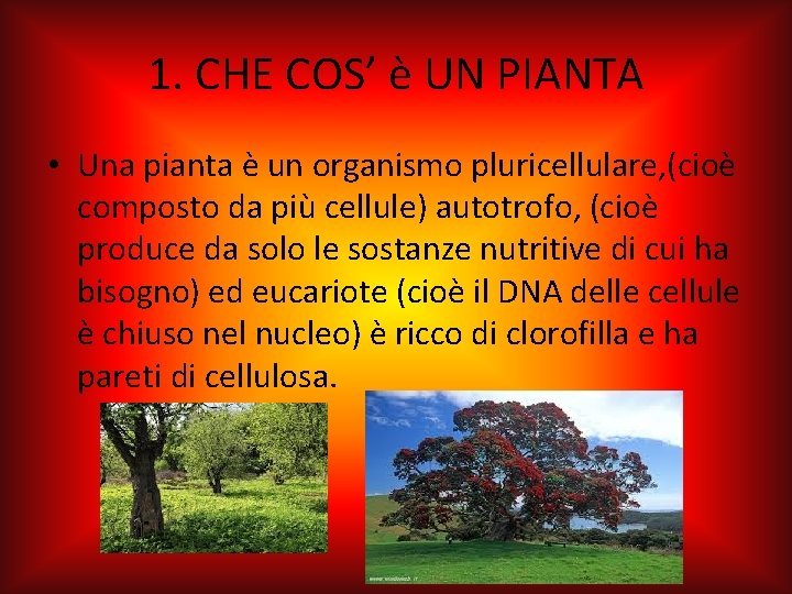1. CHE COS’ è UN PIANTA • Una pianta è un organismo pluricellulare, (cioè
