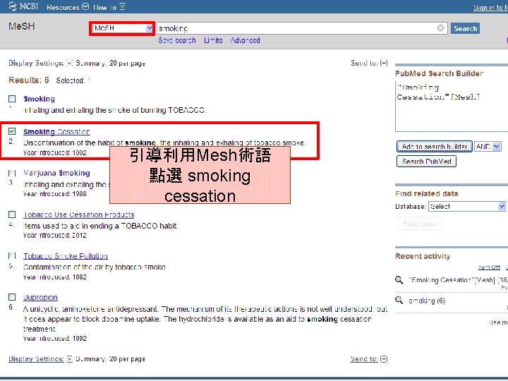 引導利用Mesh術語 點選 smoking cessation 