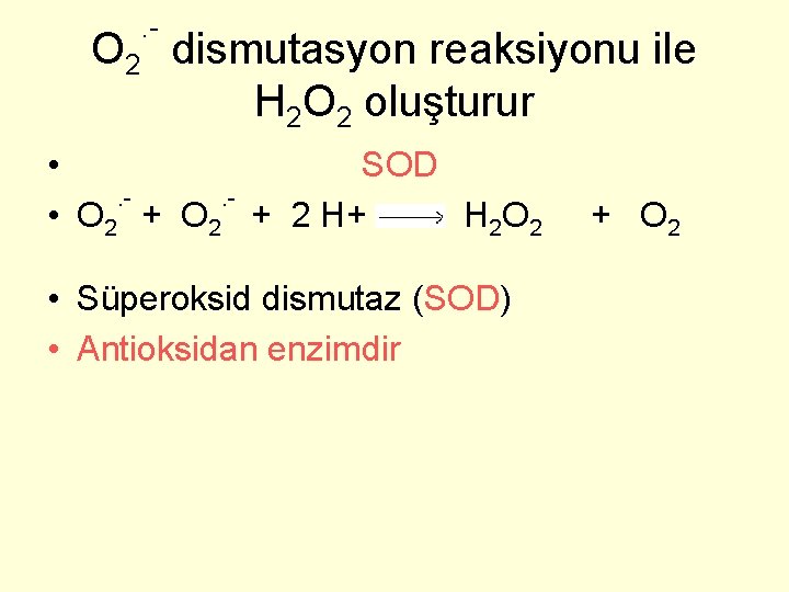 . - O 2 dismutasyon reaksiyonu ile H 2 O 2 oluşturur • SOD.
