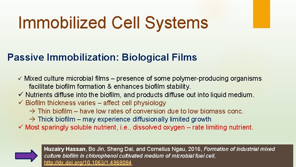 Immobilized Cell Systems Passive Immobilization: Biological Films ü Mixed culture microbial films – presence