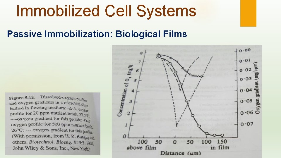 Immobilized Cell Systems Passive Immobilization: Biological Films 