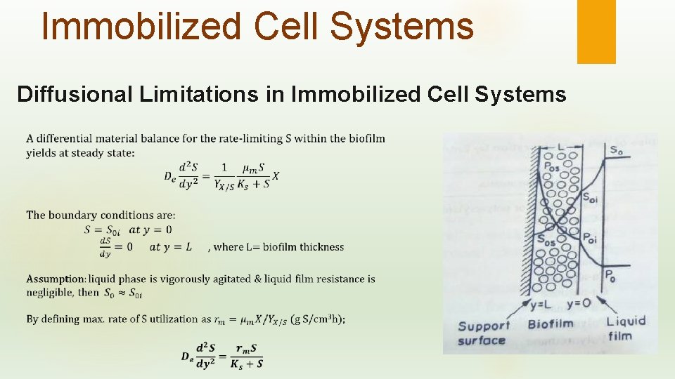 Immobilized Cell Systems Diffusional Limitations in Immobilized Cell Systems 