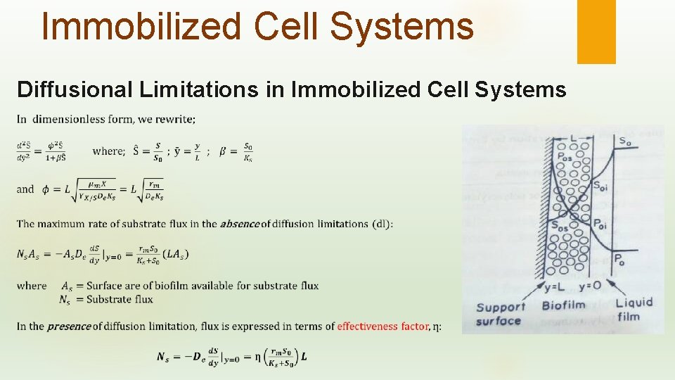 Immobilized Cell Systems Diffusional Limitations in Immobilized Cell Systems 