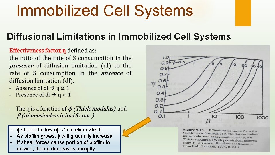 Immobilized Cell Systems Diffusional Limitations in Immobilized Cell Systems - ϕ should be low