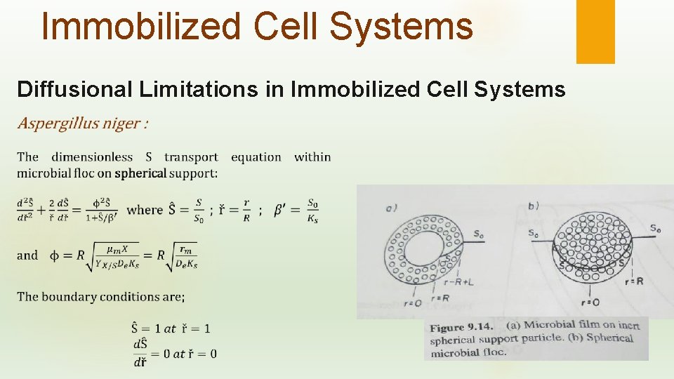 Immobilized Cell Systems Diffusional Limitations in Immobilized Cell Systems 