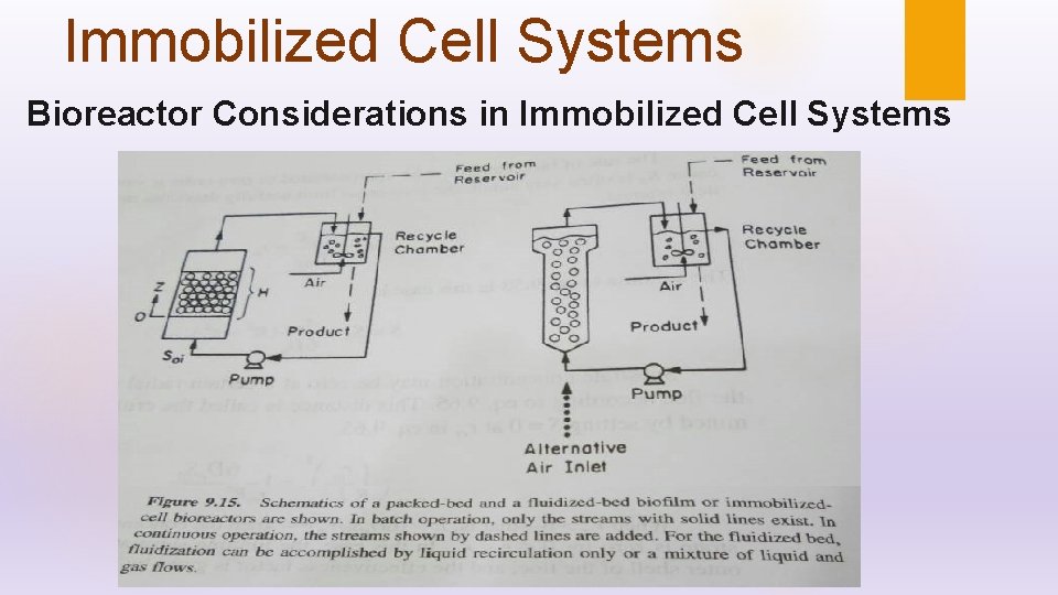 Immobilized Cell Systems Bioreactor Considerations in Immobilized Cell Systems 