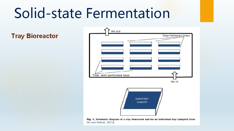 Solid-state Fermentation Tray Bioreactor 
