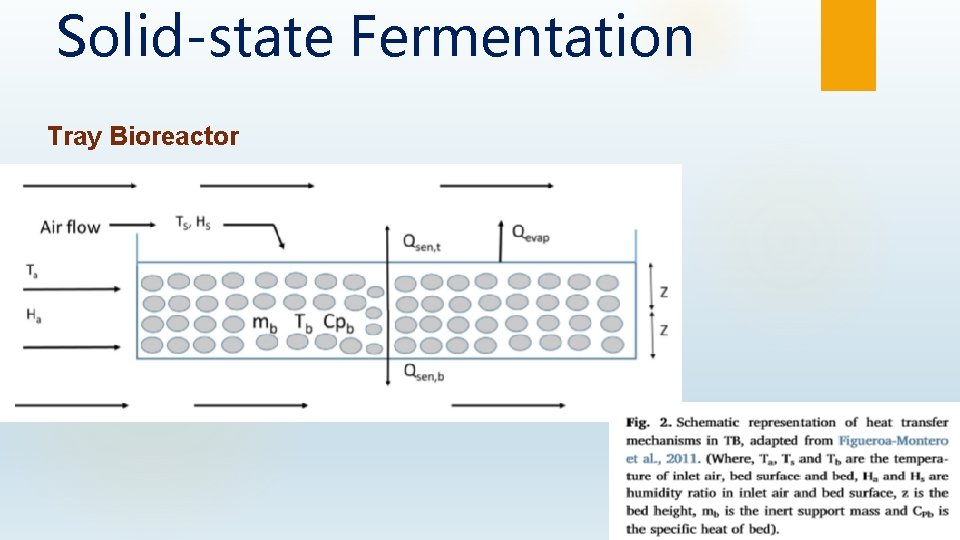 Solid-state Fermentation Tray Bioreactor 