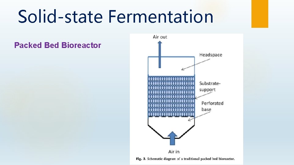 Solid-state Fermentation Packed Bioreactor 