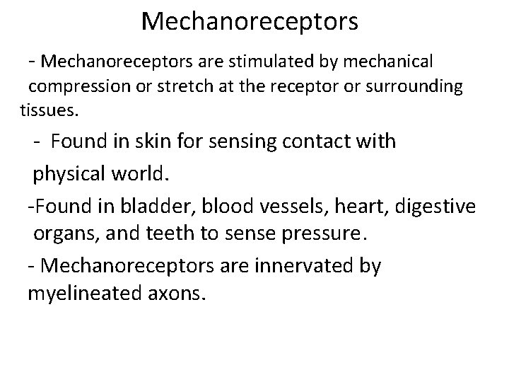 Mechanoreceptors - Mechanoreceptors are stimulated by mechanical compression or stretch at the receptor or