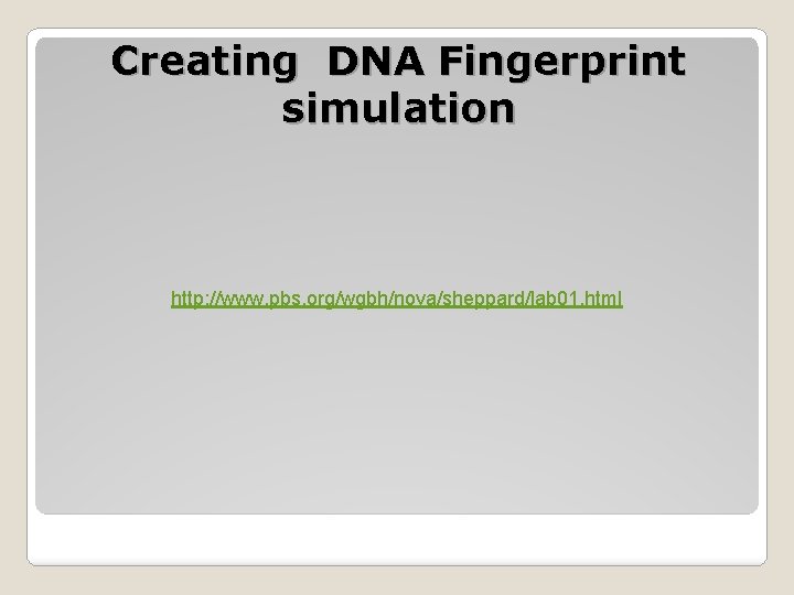 Creating DNA Fingerprint simulation http: //www. pbs. org/wgbh/nova/sheppard/lab 01. html 