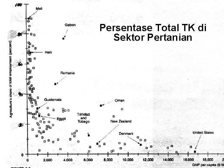 Persentase Total TK di Sektor Pertanian 