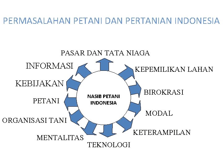 PERMASALAHAN PETANI DAN PERTANIAN INDONESIA PASAR DAN TATA NIAGA INFORMASI KEPEMILIKAN LAHAN KEBIJAKAN PETANI