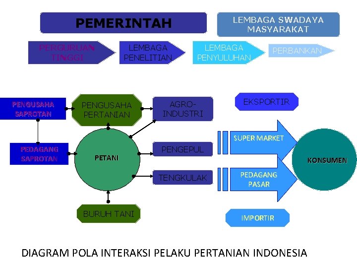 PEMERINTAH PERGURUAN TINGGI PENGUSAHA SAPROTAN LEMBAGA PENELITIAN PENGUSAHA PERTANIAN LEMBAGA SWADAYA MASYARAKAT LEMBAGA PENYULUHAN