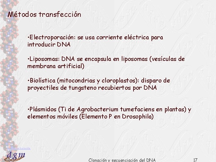 Métodos transfección • Electroporación: se usa corriente eléctrica para introducir DNA • Liposomas: DNA