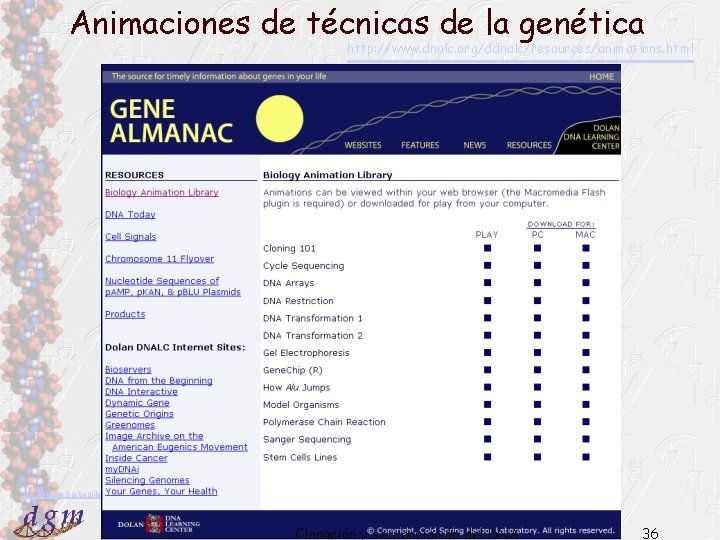 Animaciones de técnicas de la genética http: //www. dnalc. org/ddnalc/resources/animations. html Dr. Antonio Barbadilla