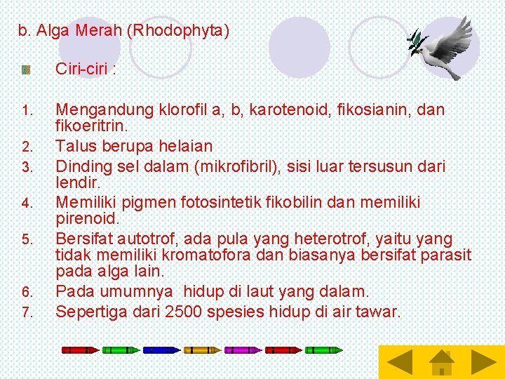 b. Alga Merah (Rhodophyta) Ciri-ciri : 1. 2. 3. 4. 5. 6. 7. Mengandung