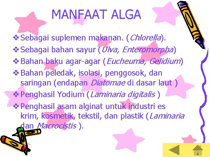 MANFAAT ALGA v Sebagai suplemen makanan. (Chlorella). v Sebagai bahan sayur (Ulva, Enteromorpha) v