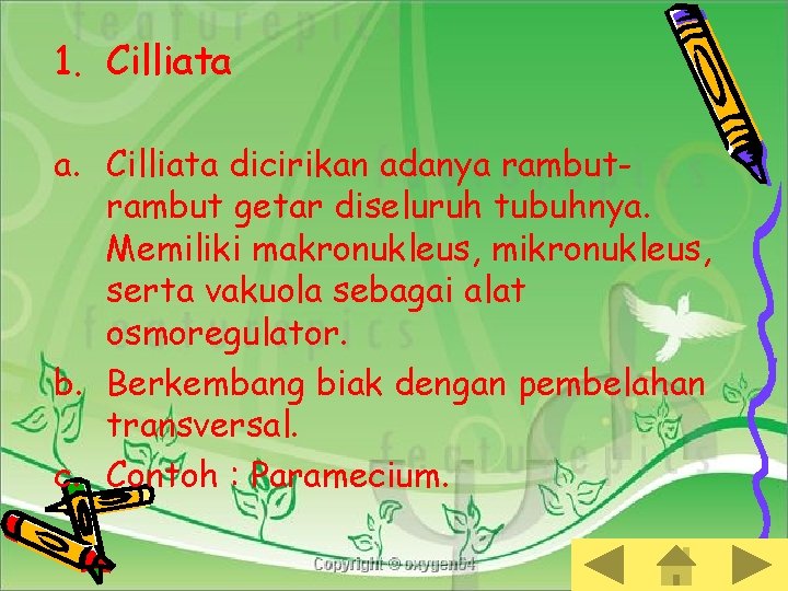 1. Cilliata a. Cilliata dicirikan adanya rambut getar diseluruh tubuhnya. Memiliki makronukleus, mikronukleus, serta