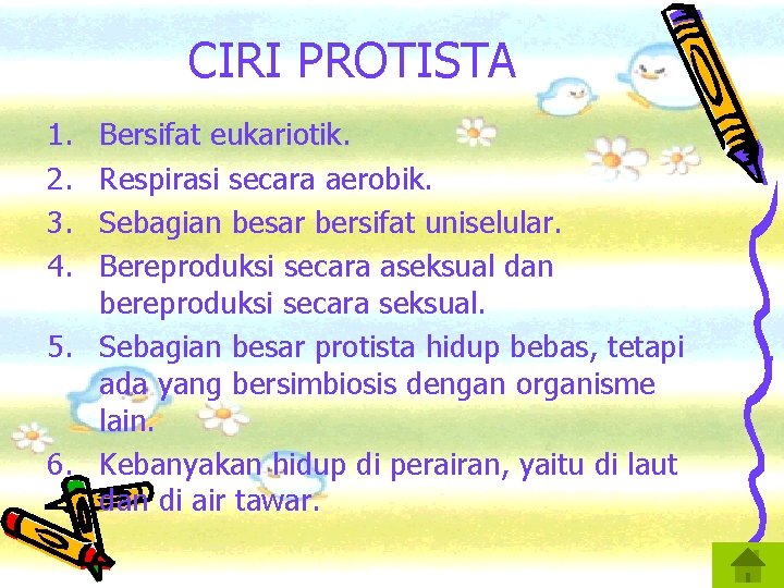 CIRI PROTISTA 1. 2. 3. 4. Bersifat eukariotik. Respirasi secara aerobik. Sebagian besar bersifat