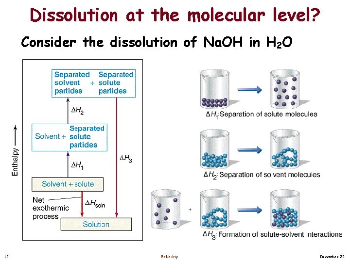 Dissolution at the molecular level? Consider the dissolution of Na. OH in H 2 Dissolution at the molecular level? Consider the dissolution of Na. OH in H 2