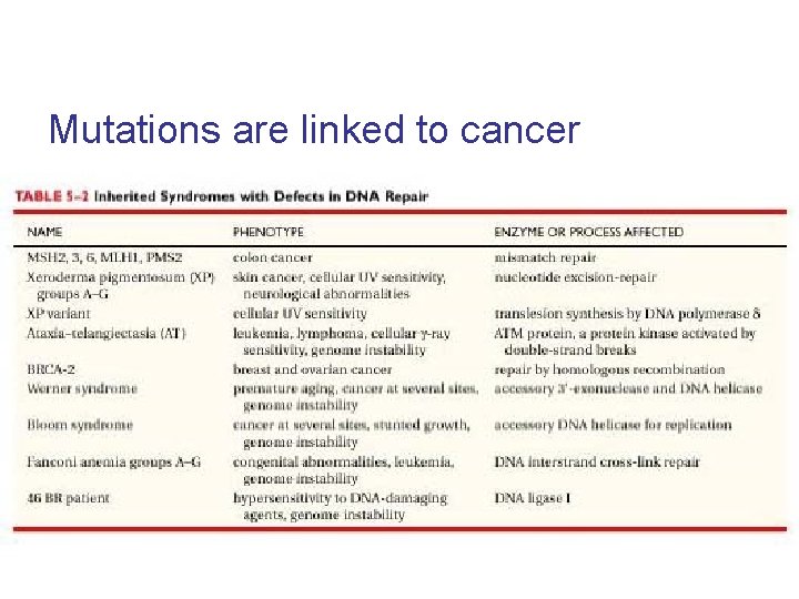 Mutations are linked to cancer 