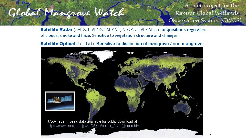 Satellite Radar (JERS-1, ALOS PALSAR, ALOS-2 PALSAR-2): acquisitions regardless of clouds, smoke and haze.