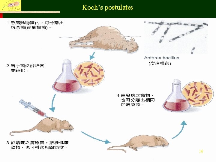 Koch’s postulates Fu Jen Catholic University, Department of Life Science 16 