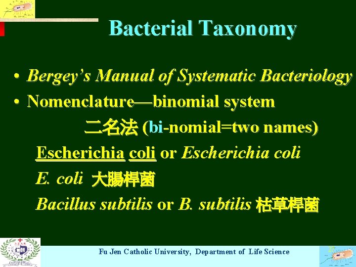 Bacterial Taxonomy • Bergey’s Manual of Systematic Bacteriology • Nomenclature—binomial system 二名法 (bi-nomial=two names)