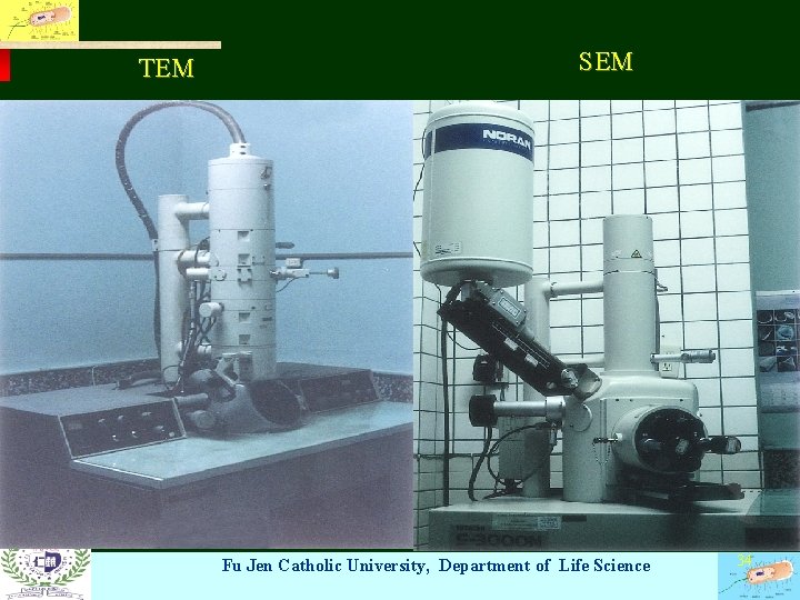 TEM SEM Fu Jen Catholic University, Department of Life Science 34 