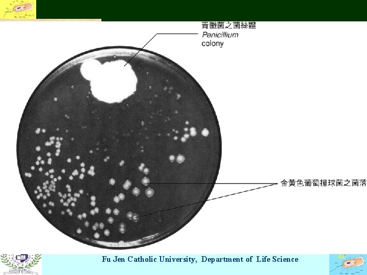 Fu Jen Catholic University, Department of Life Science 44 