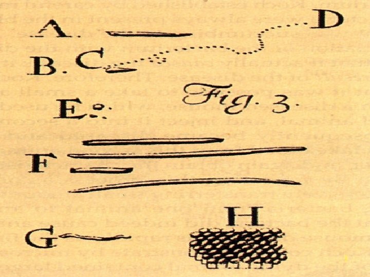  • Fu Jen Catholic University, Department of Life Science 5 