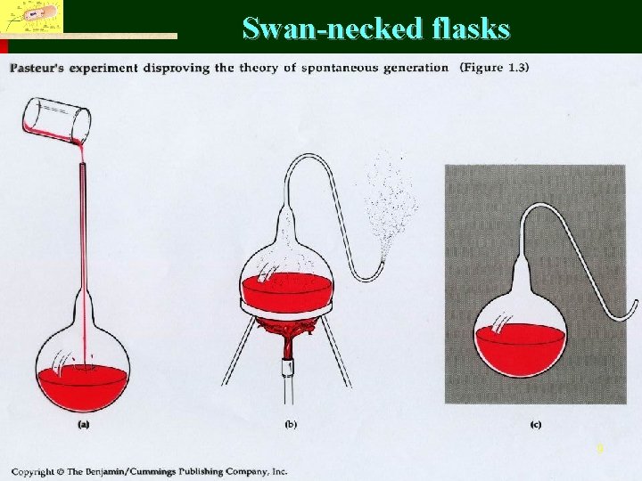 Swan-necked flasks Fu Jen Catholic University, Department of Life Science 9 