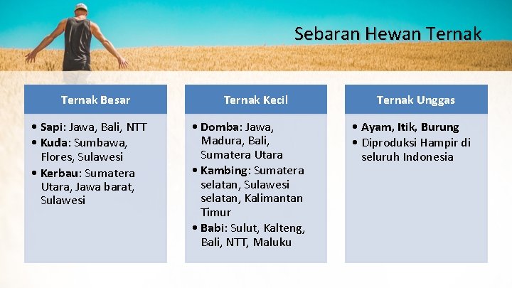 Sebaran Hewan Ternak Besar • Sapi: Jawa, Bali, NTT • Kuda: Sumbawa, Flores, Sulawesi