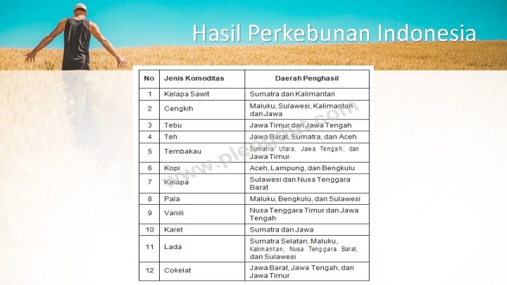 Hasil Perkebunan Indonesia Hasil Perkebunan Indonesia