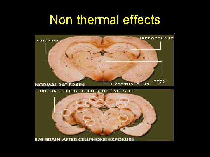 Non thermal effects 