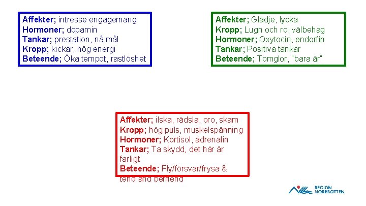 Affekter; intresse engagemang Hormoner; dopamin Tankar; prestation, nå mål Kropp; kickar, hög energi Beteende;