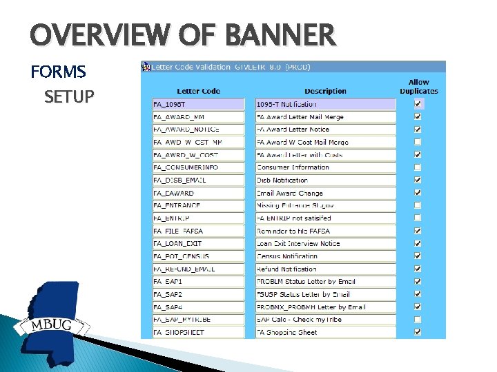 OVERVIEW OF BANNER FORMS SETUP 