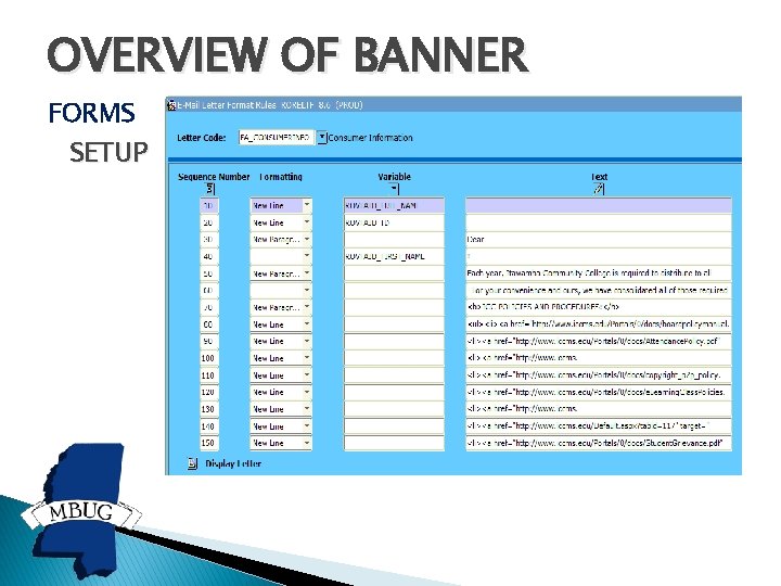 OVERVIEW OF BANNER FORMS SETUP OVERVIEW OF BANNER FORMS SETUP