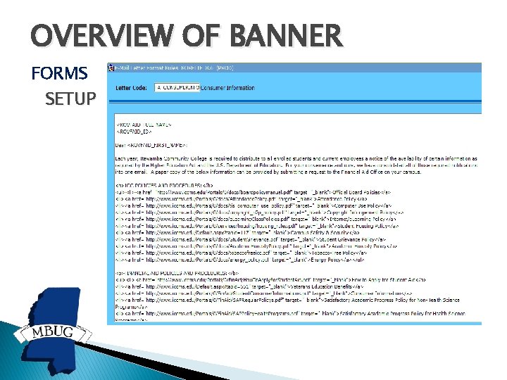 OVERVIEW OF BANNER FORMS SETUP 