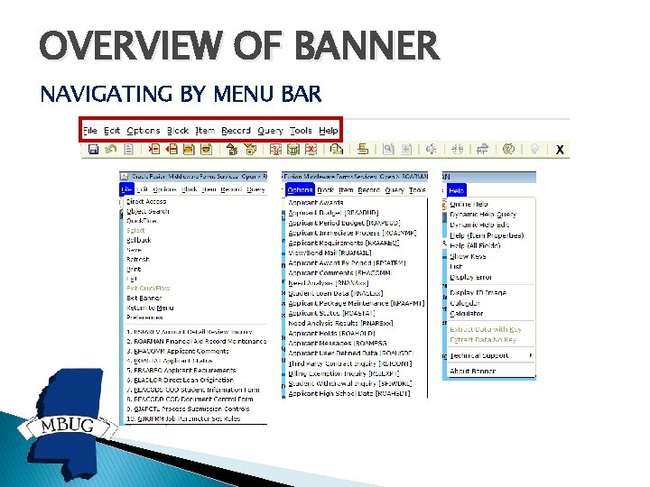OVERVIEW OF BANNER NAVIGATING BY MENU BAR OVERVIEW OF BANNER NAVIGATING BY MENU BAR